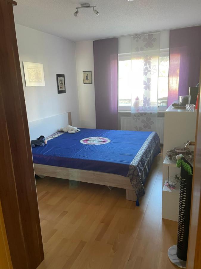 غايلينغِن Schone Wohnung Nahe Bodensee Und Schweiz المظهر الخارجي الصورة